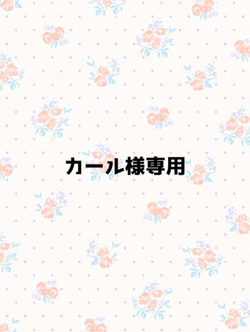 カール様専用