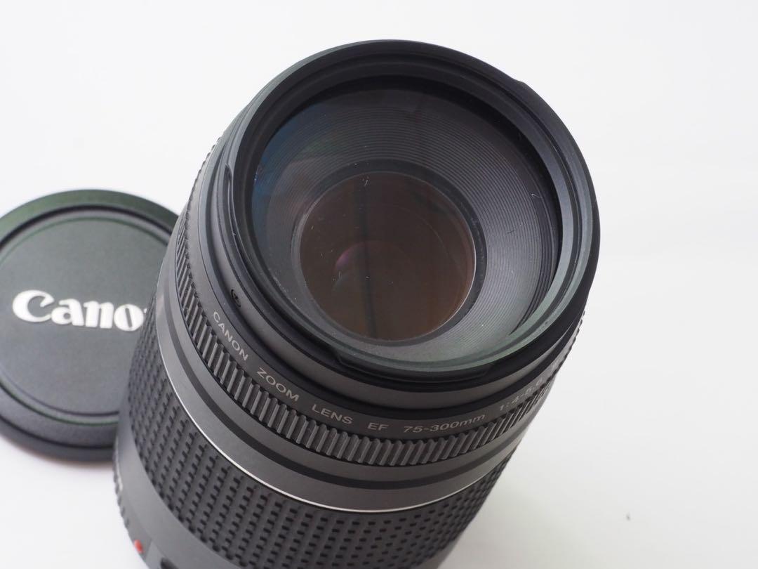 キャノンEF75-300mm超望遠ズーム スポーツ