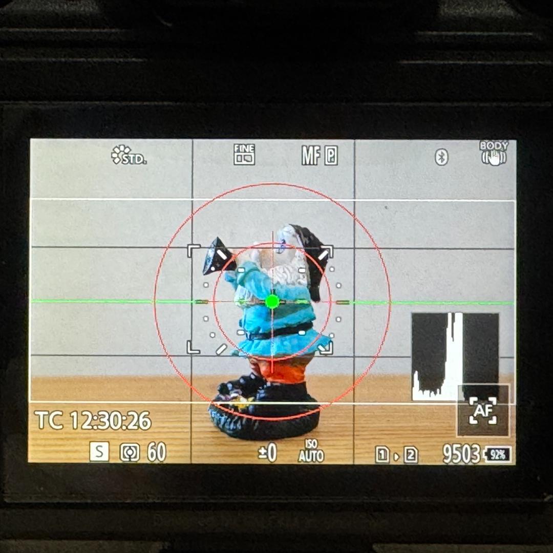 Panasonic LUMIX S1H + カメラケージ + トップハンドル