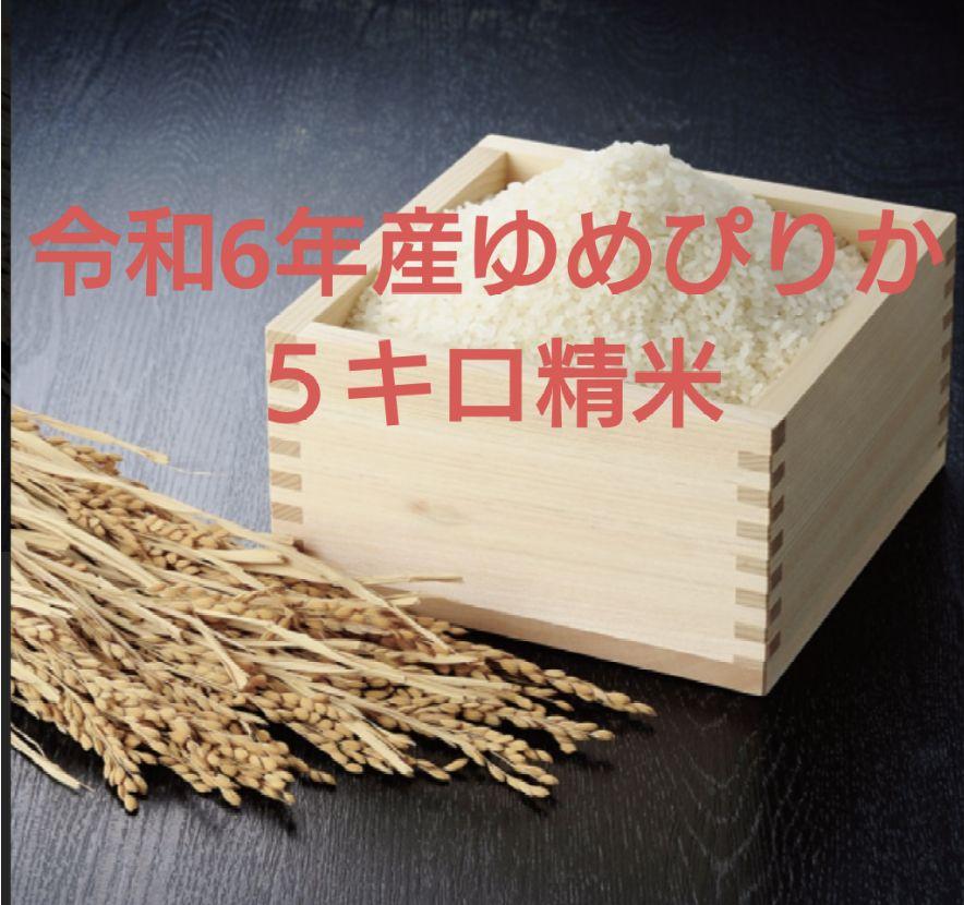 令和6年産 ゆめぴりか 5キロ精米