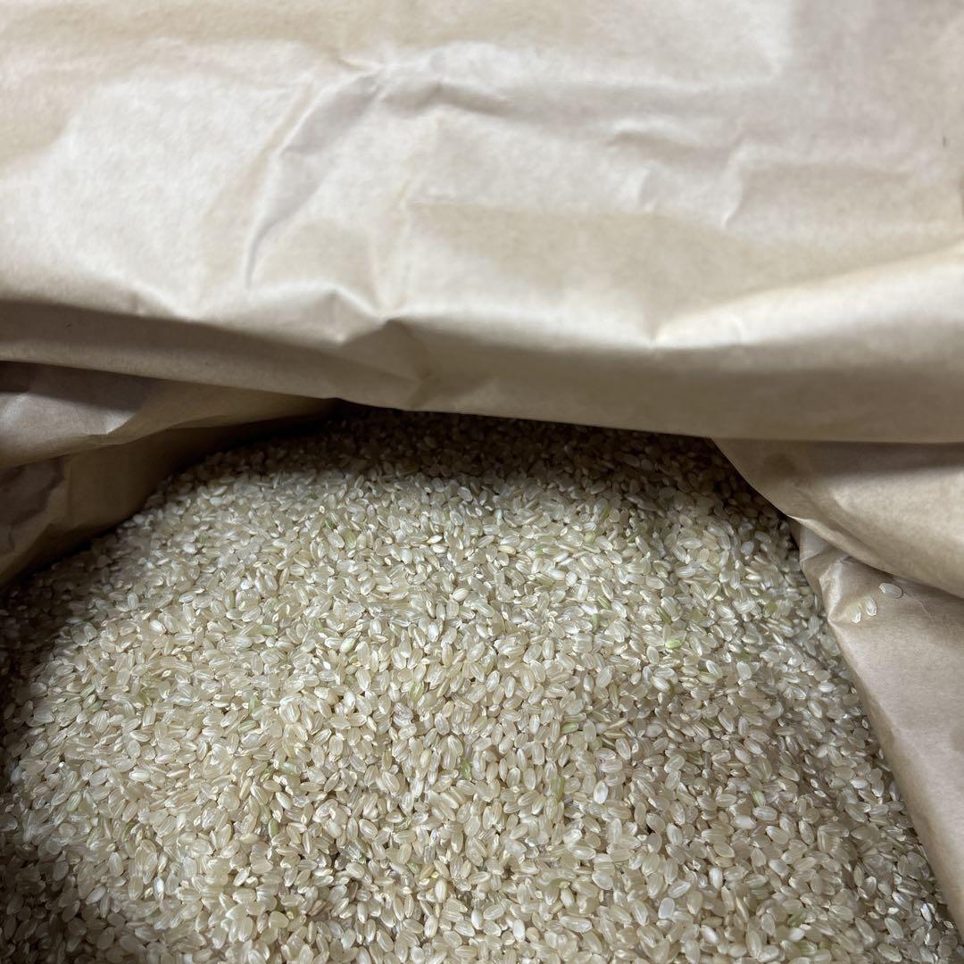 令和6年 栃木県産 コシヒカリ 30kg
