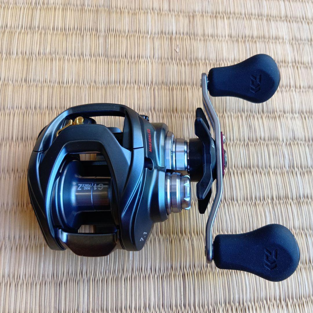 ダイワ(DAIWA) ベイトリール 17 スティーズ A TW