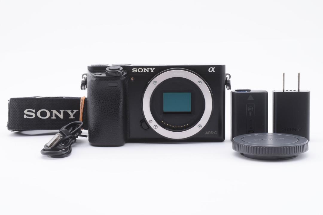 高級ブランド ソニー ブラック SONY α6000 α6000 ILCE-6000 ボディ