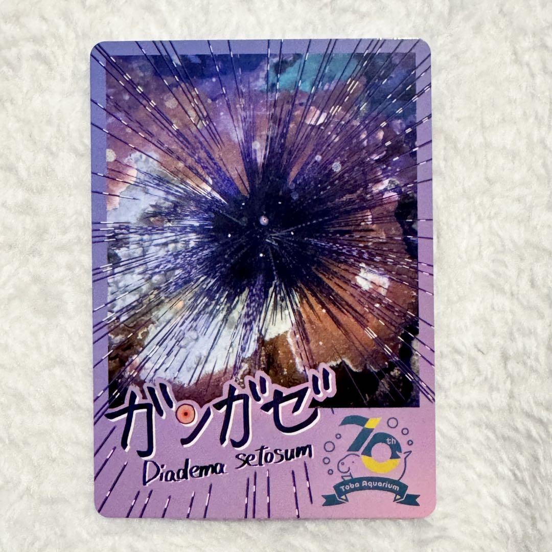 1枚100円＋送料】鳥羽水族館70周年コレクションカード（ガンガゼ