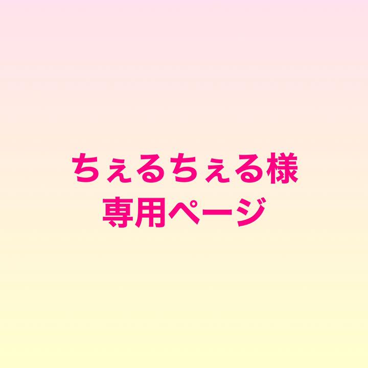 驚きの安さ ちぇるちぇる様専用ページ ちぇる様専用ページ☆《サンタ