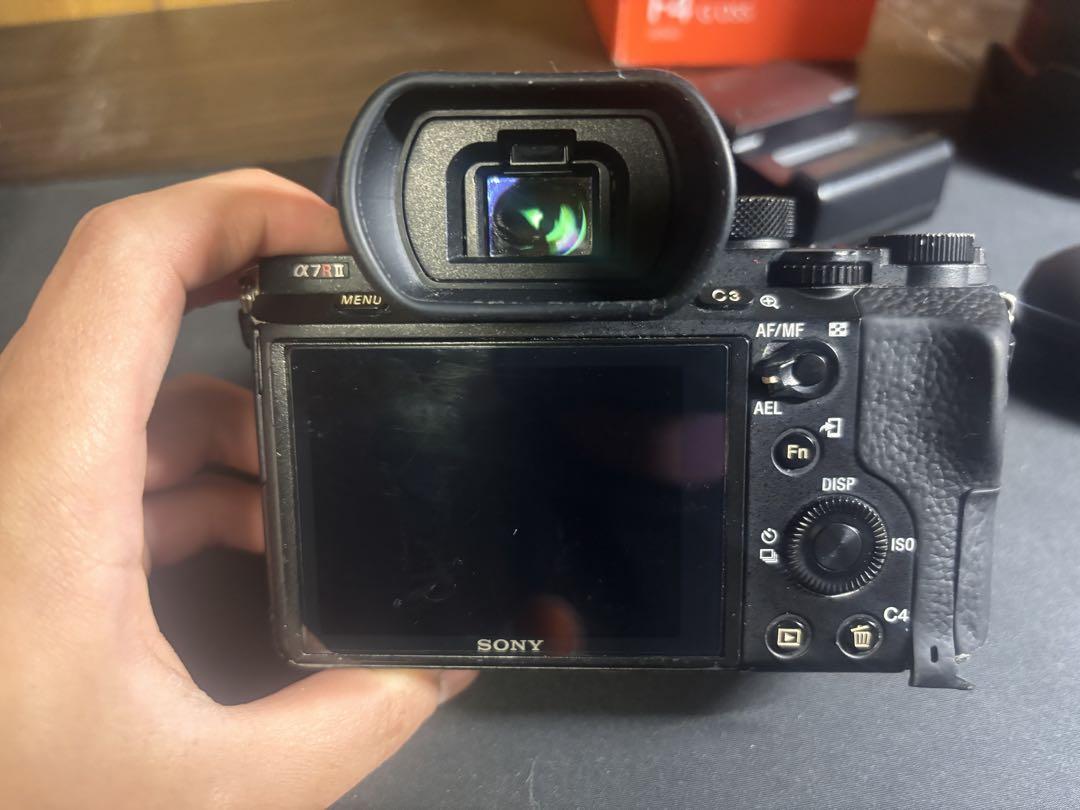 Sonyα7rii FE 24-105mm F4 G OSS　SEL24105G