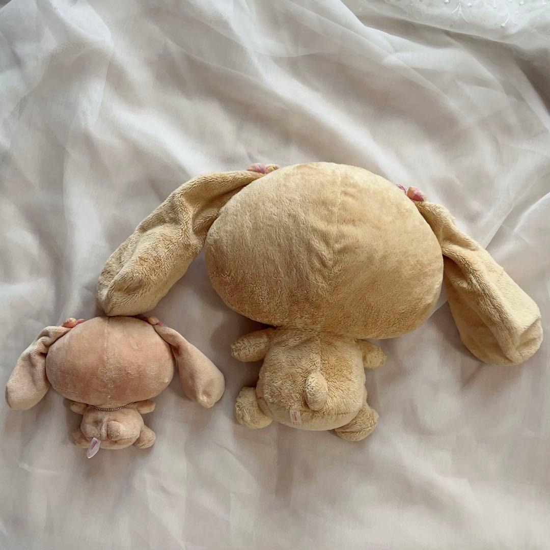 モカ ぬいぐるみ セット モカ ぬいぐるみ セット