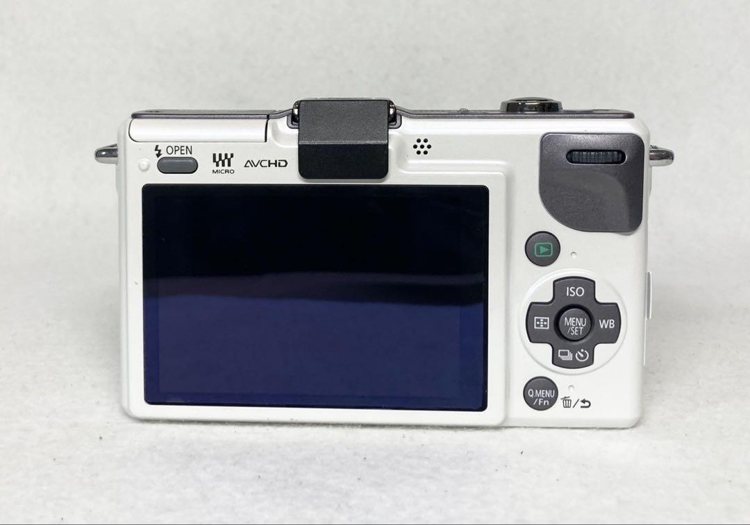 Panasonic