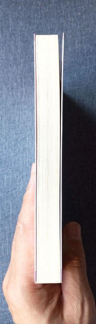 悪霊消滅: 貧乏神・事故・酒乱の因縁を払い事業を成功させる秘法