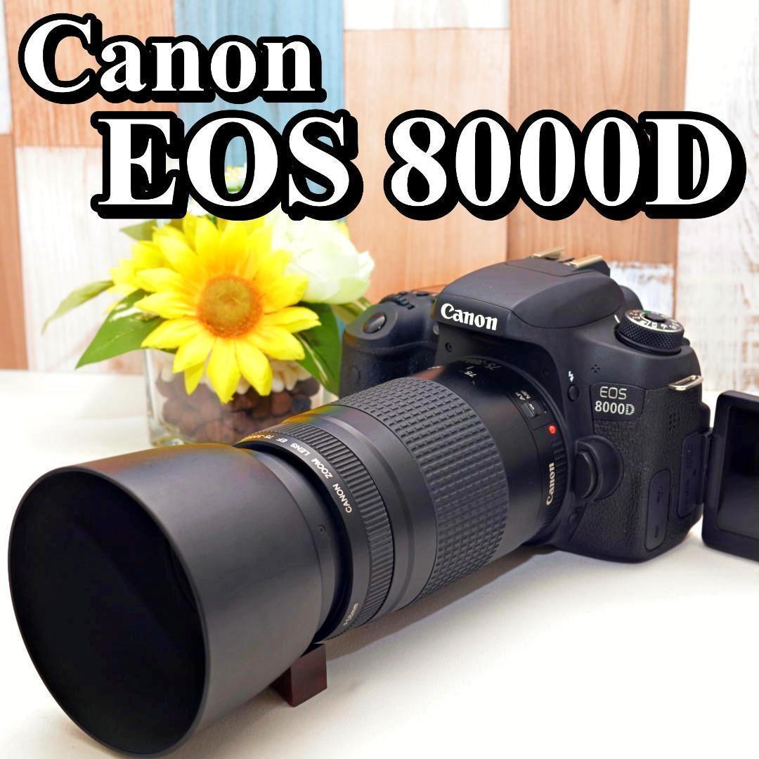 Wi-Fi搭載&画面反転 Canon EOS 8000D 元 き 超望遠レンズ