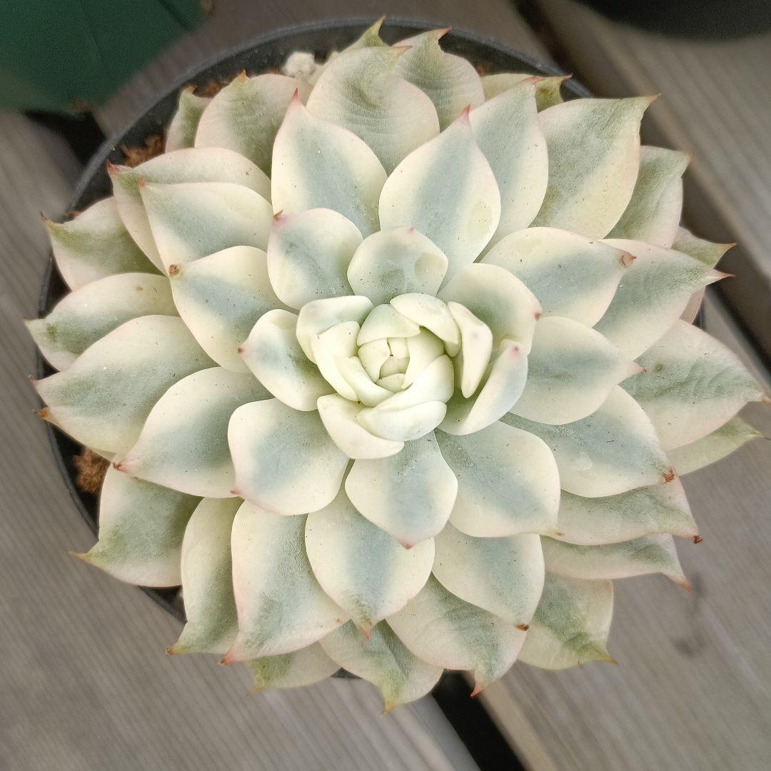 3点 まとめ商品傷や汚れあり