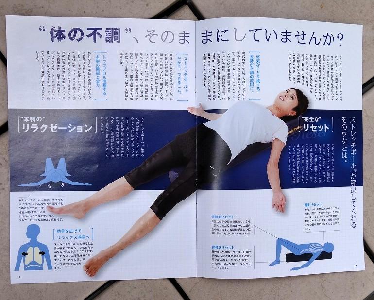 LPN ストレッチポールEX StretchPole アイボリー エクササイズ品