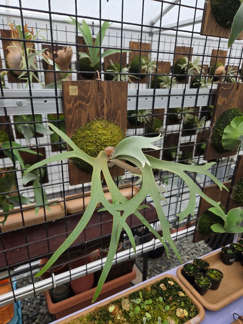 13目立った傷や汚れなし