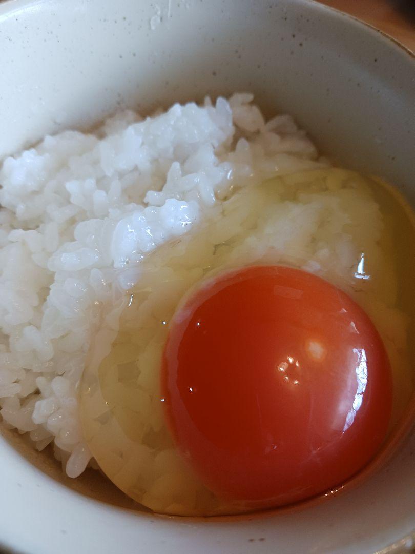 平飼い卵80個3/31常温発送riceoil