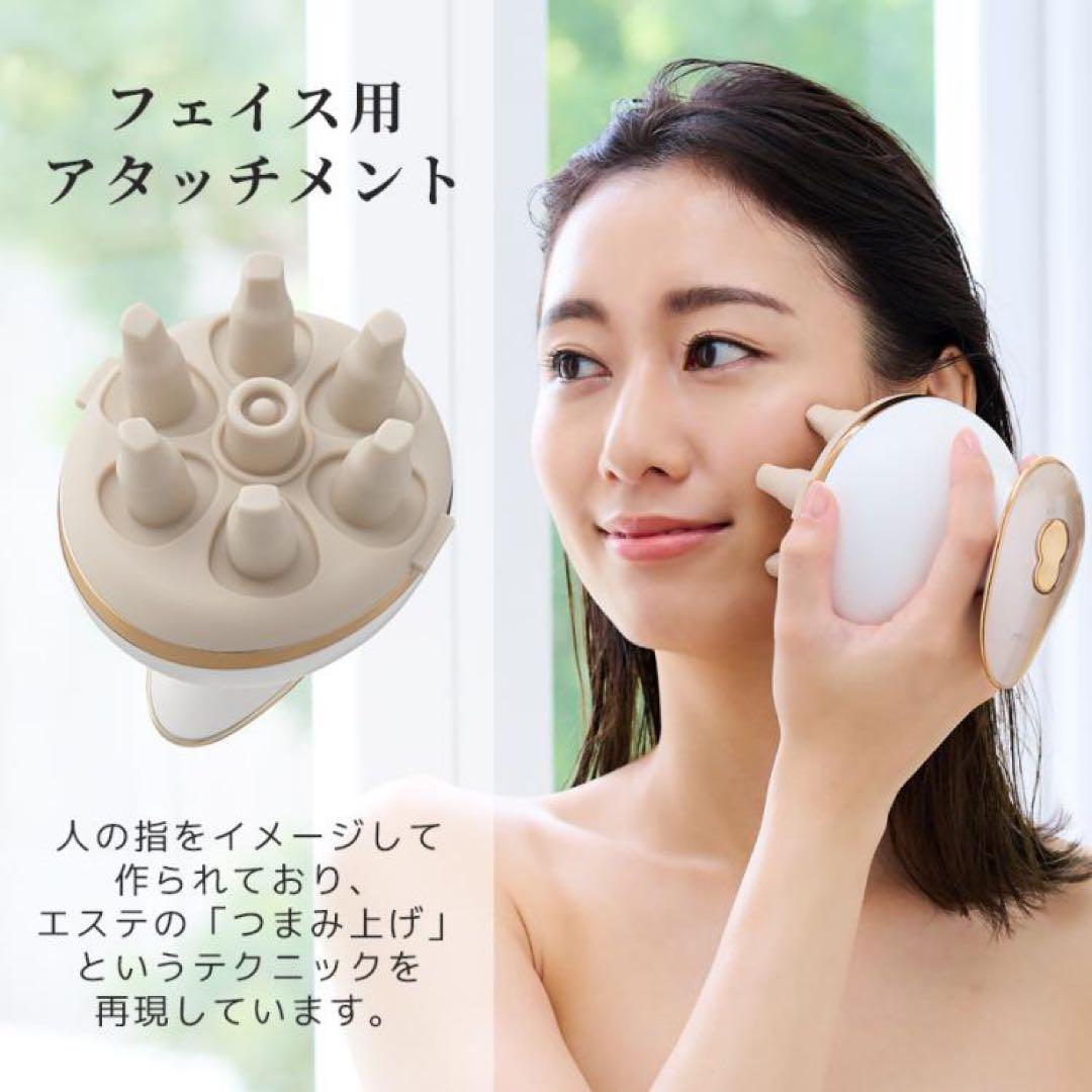 家庭用美容器　ミーゼ　ニードルヘッドスパリフト　MS-31