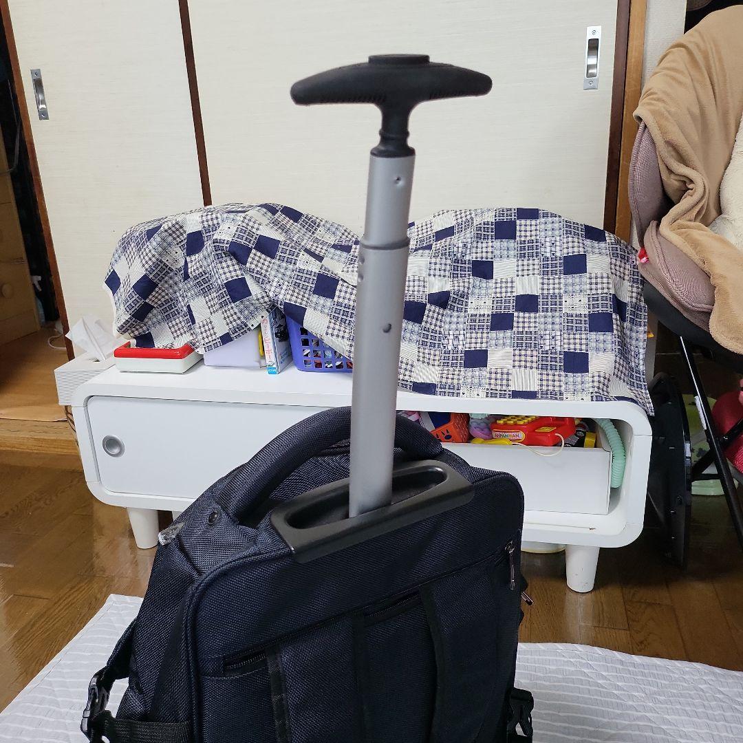 最終価格なんですが……クリスマス価格です(^-^)リュックタイプのキャリーバッグ