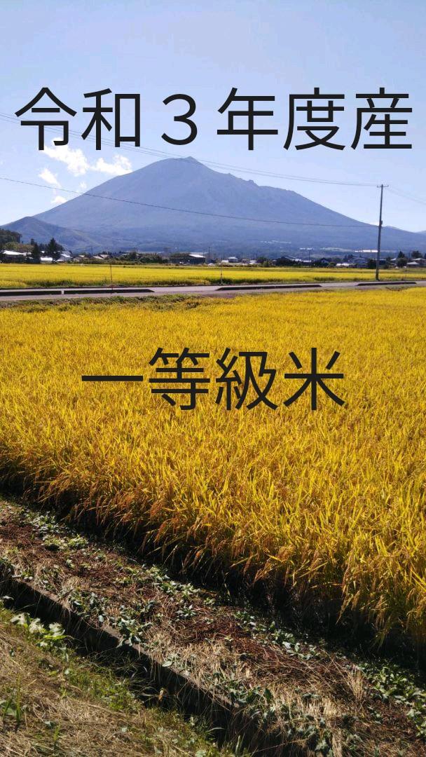 もちろん お米 20キロ 白米 いわてっこ GhRoZ-m58678248624 ルブランド