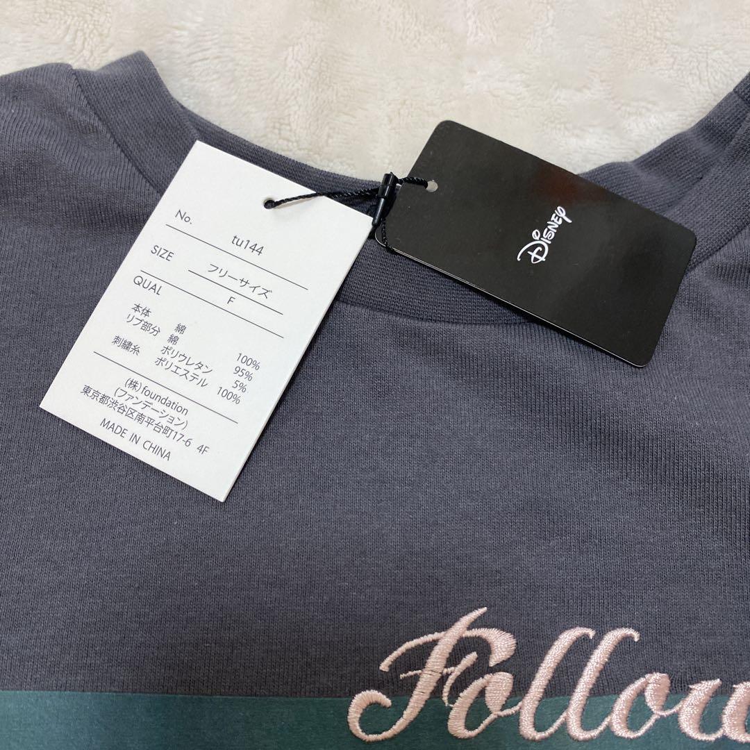 新品未使用タグ付き　Disney アラジン　ジャスミン　Tシャツ　フリーサイズ