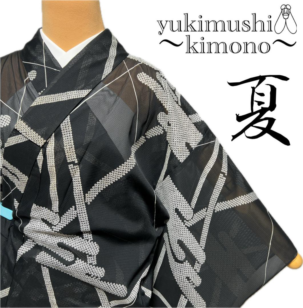 PP6101 着物 小紋 単衣 夏用 絽 黒 対象身長～162㎝ 送料無料