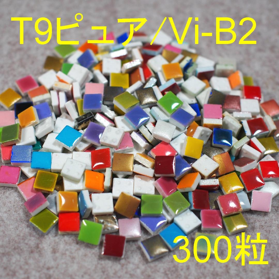 T9ピュア/Vi-B2 300粒