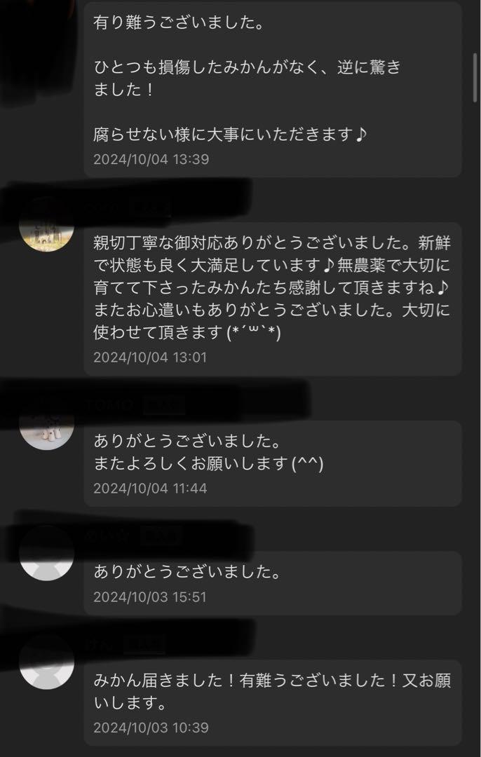 農薬不使用みかん１０キロ　防腐剤ワックス不使用ミカン