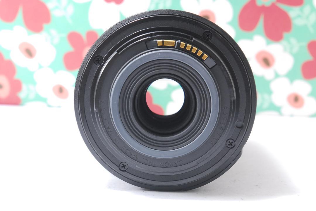 ❤Canon EF-S 55-250mm F4-5.6 IS❤手振れ補正❤
