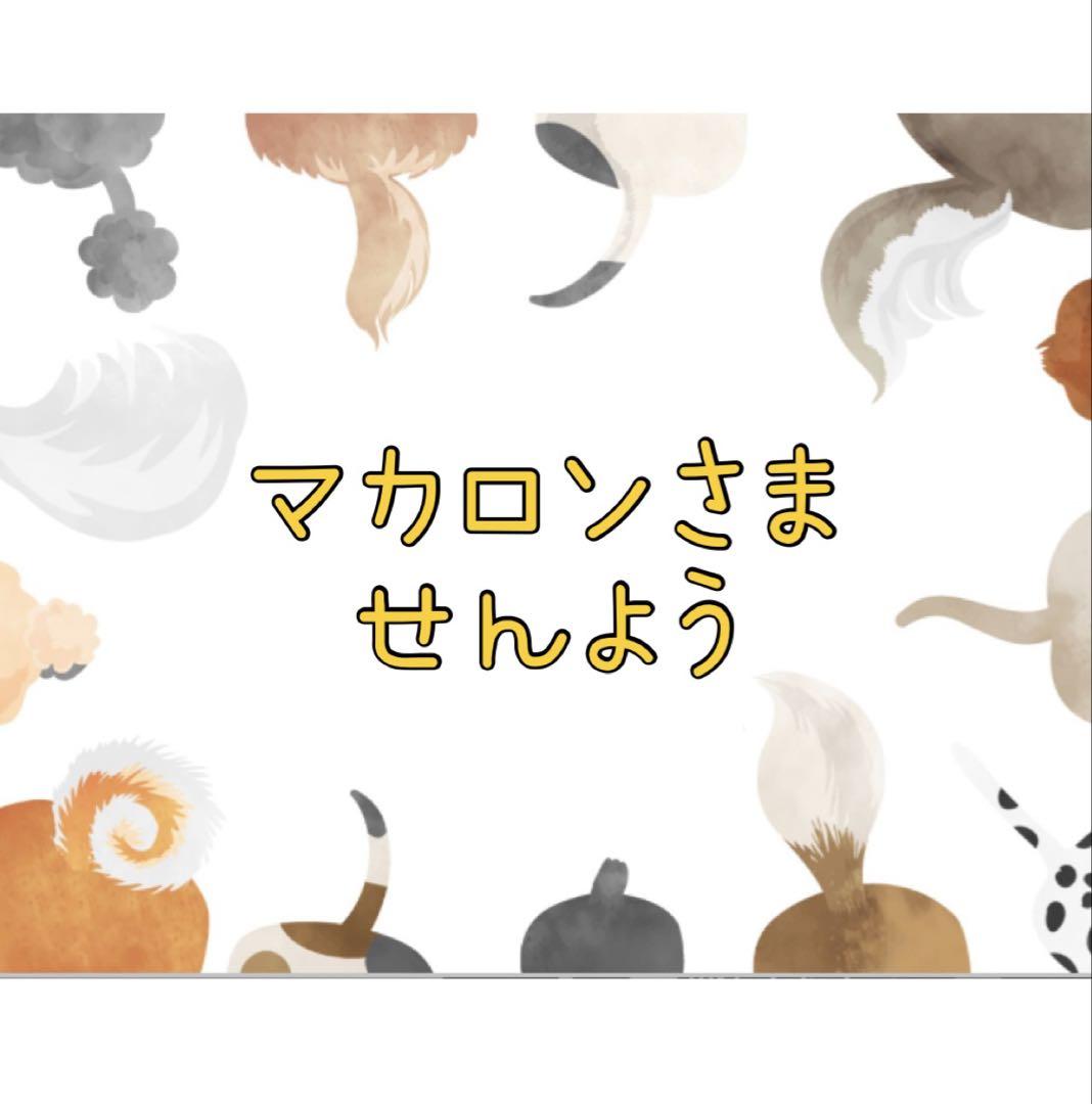 ありがとうございます。マカロンです。