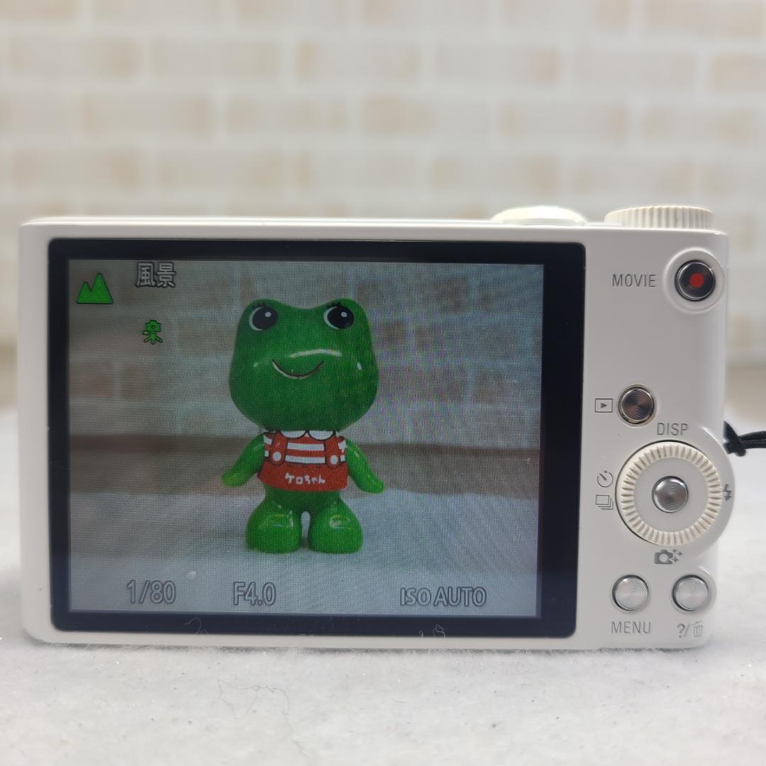あひひね様用　SONY デジカメ Cyber-shot DSC-WX350