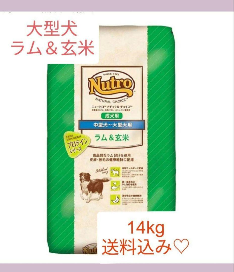 値下げ不可☆ニュートロナチュラルチョイス成犬ラム＆玄米中大型犬14kg