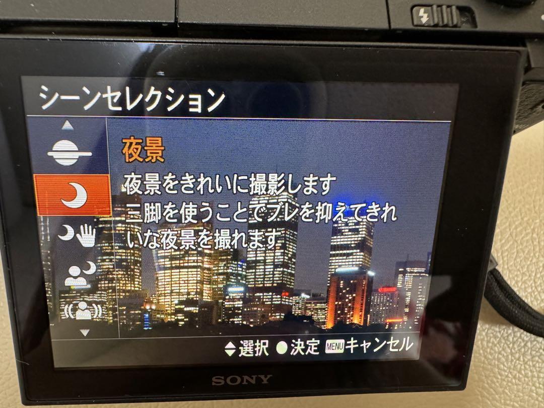 SONY DSCーWX500 すぐ使用できるセット