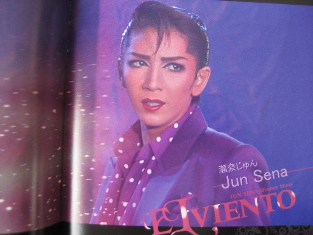 瀬奈じゅんディナーショー「 ELVIENTO」　DVDビデオ