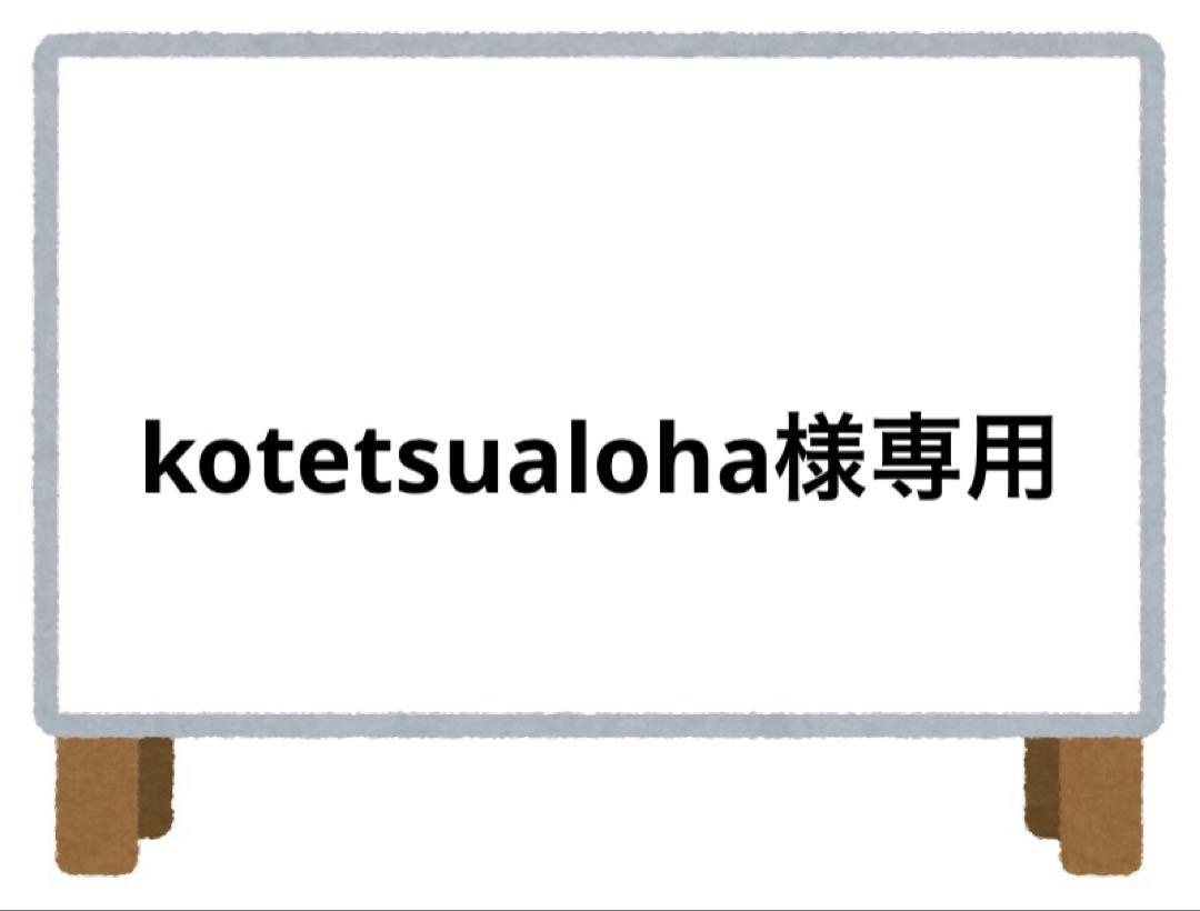 kotetsualoha様 リクエスト 2点 まとめ商品