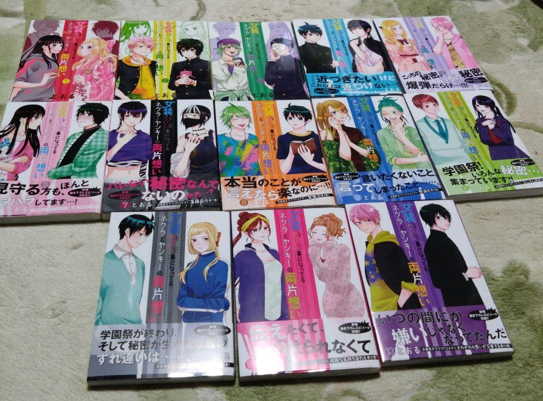 女装してめんどくさい事になってるネクラとヤンキーの両片想い　1〜13巻