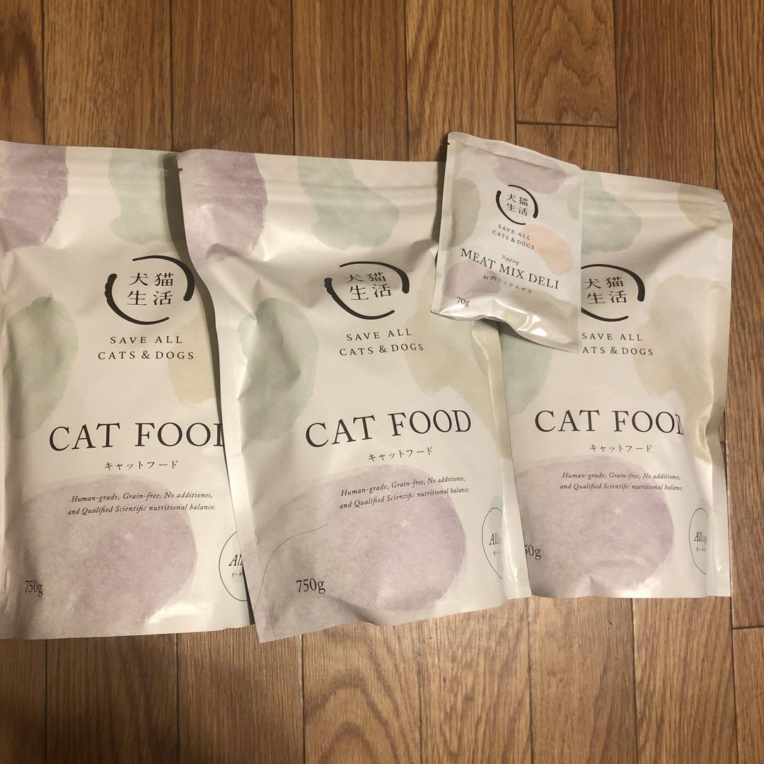 自家製キャットフードについて知っておくべきこと