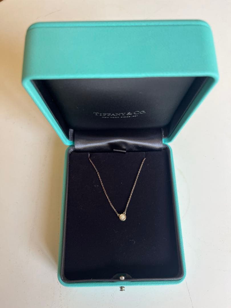 ティファニー TIFFANY & Co. バイザヤード ネックレス 新品未使用 ティファニー TIFFANY & Co. バイザヤード ネックレス 新品未使用