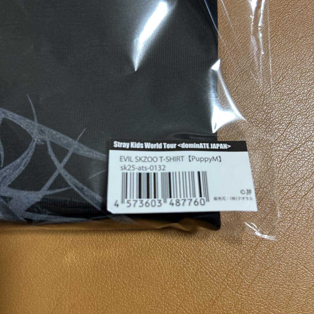 straykids スキズ 闇T EVIL Tシャツ スンミン パピーム