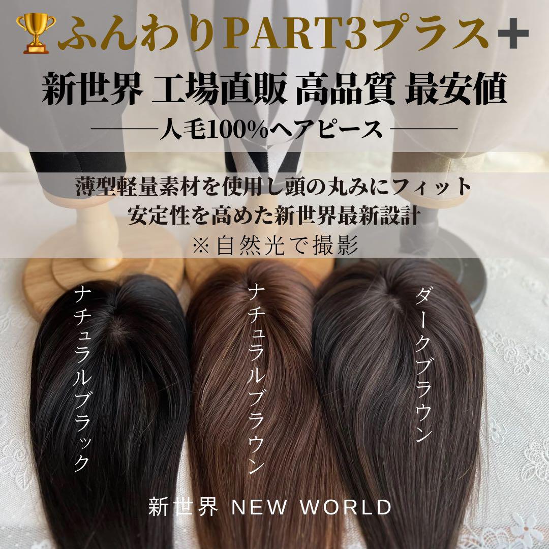 2025新世界　レミー100%　ヘアピース　シルクスキン　部分ウィッグ　Aタイプ