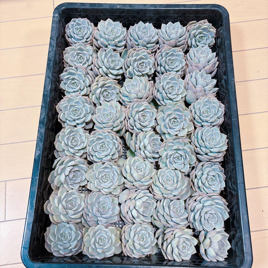 4点おまとめ Yu...@様 4点おまとめ Yu...@様