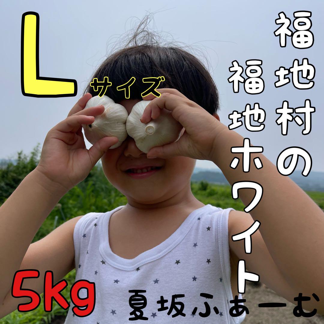 福地ホワイト発祥地　福地村産　L 5kg 青森県産にんにく　乾燥　夏坂ふぁーむ
