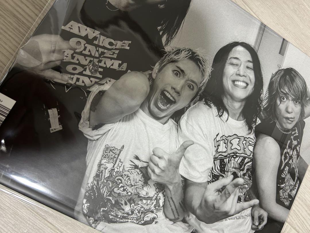 即日発送　ONE OK ROCK　PRIMAL FOOTMARK 2025