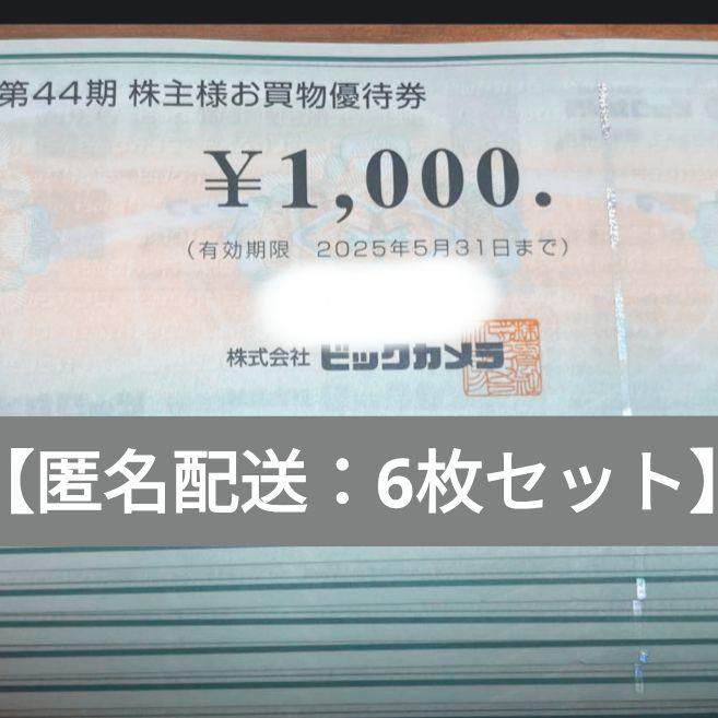 匿名配送 ビックカメラ 株主優待券 6000円 分 6枚 お買物優待券 6,600円