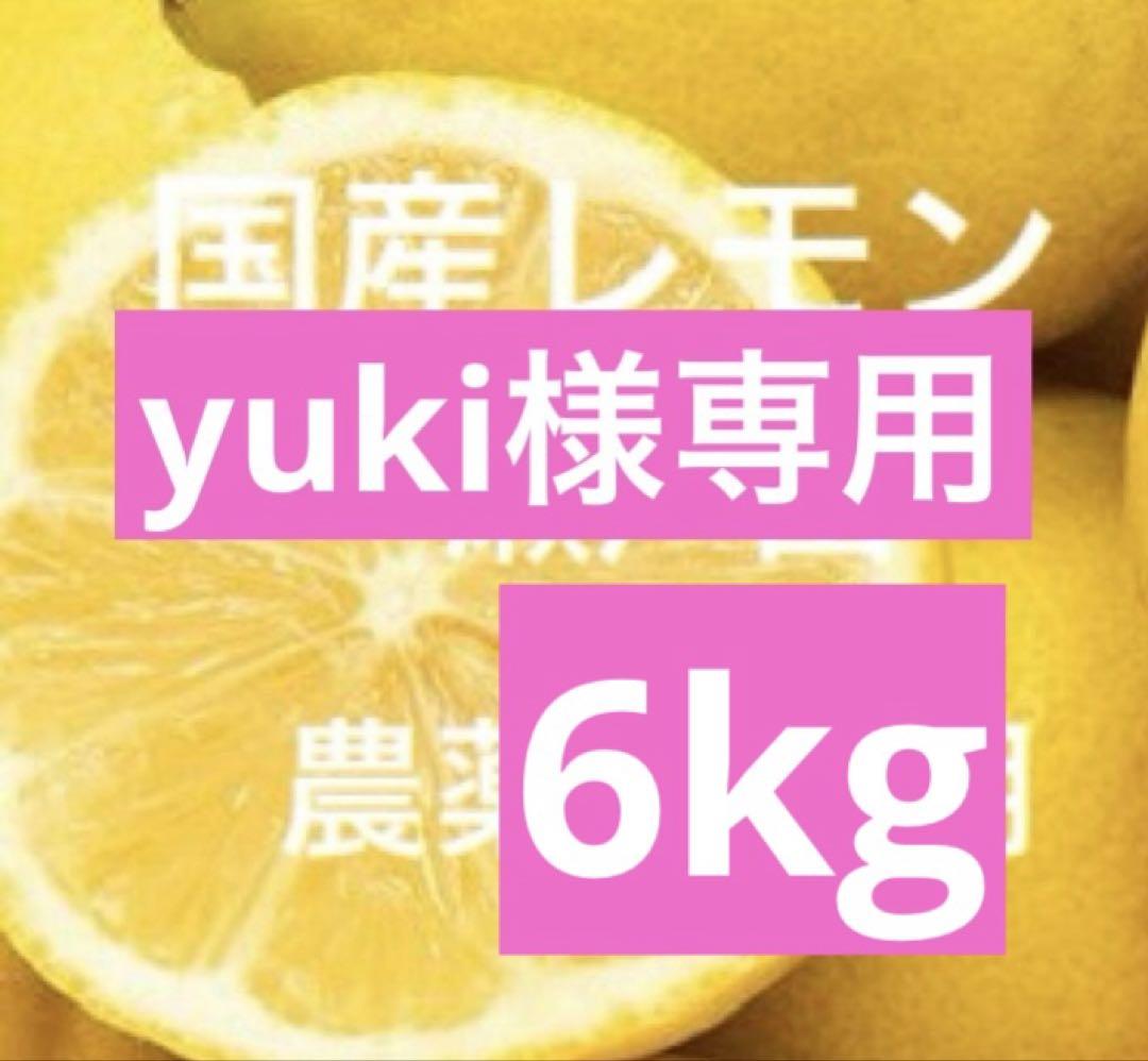 yukiレモン6kg