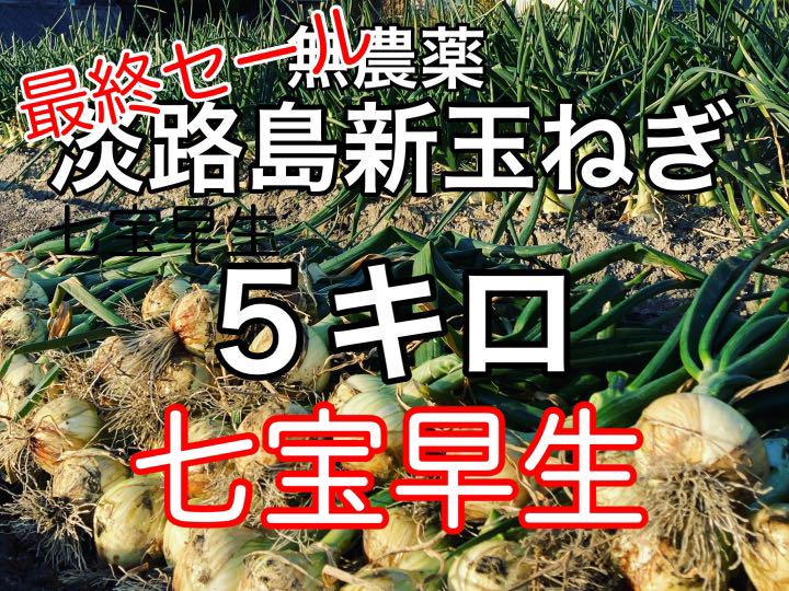 35%OFF】 送料無料 淡路島新玉ねぎ 20kg 早生 七宝 けいのしま農園 5月上旬出荷予定 andresimoneau.com 35%OFF】 送料無料 淡路島新玉ねぎ 20kg 早生 七宝 けいのしま農園 5月上旬出荷予定 andresimoneau.com