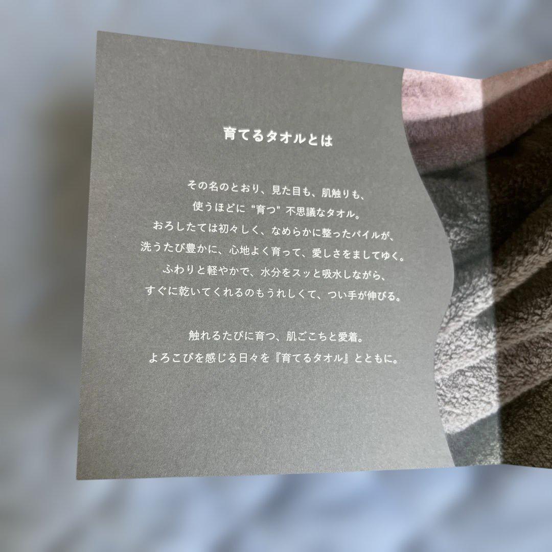 【特価】育てるタオル バスタオルペアセット