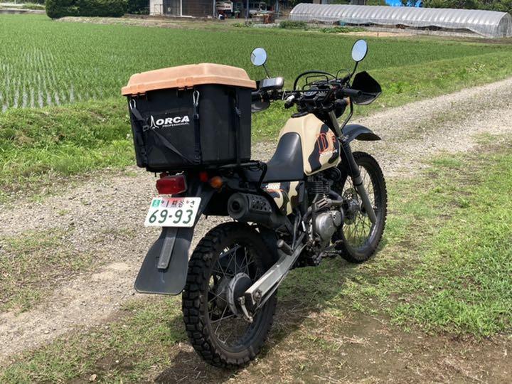 DF200 自賠責36年5月迄つけます グリップヒーター付 zgWcD-m58933974083 スズキ バイク お得格安
