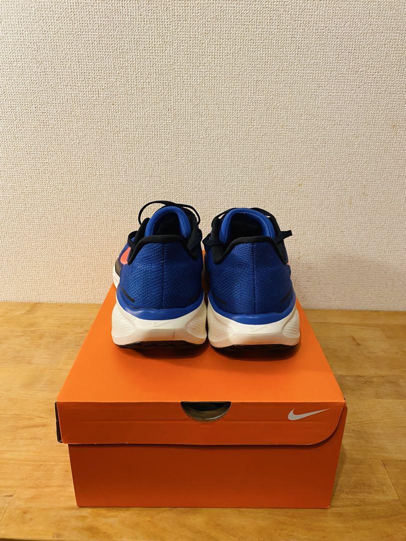 ナイキ ペガサス 41 NIKE Pegasus 41 29cm