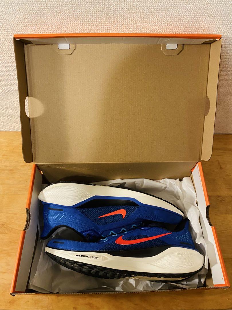 ナイキ ペガサス 41 NIKE Pegasus 41 29cm