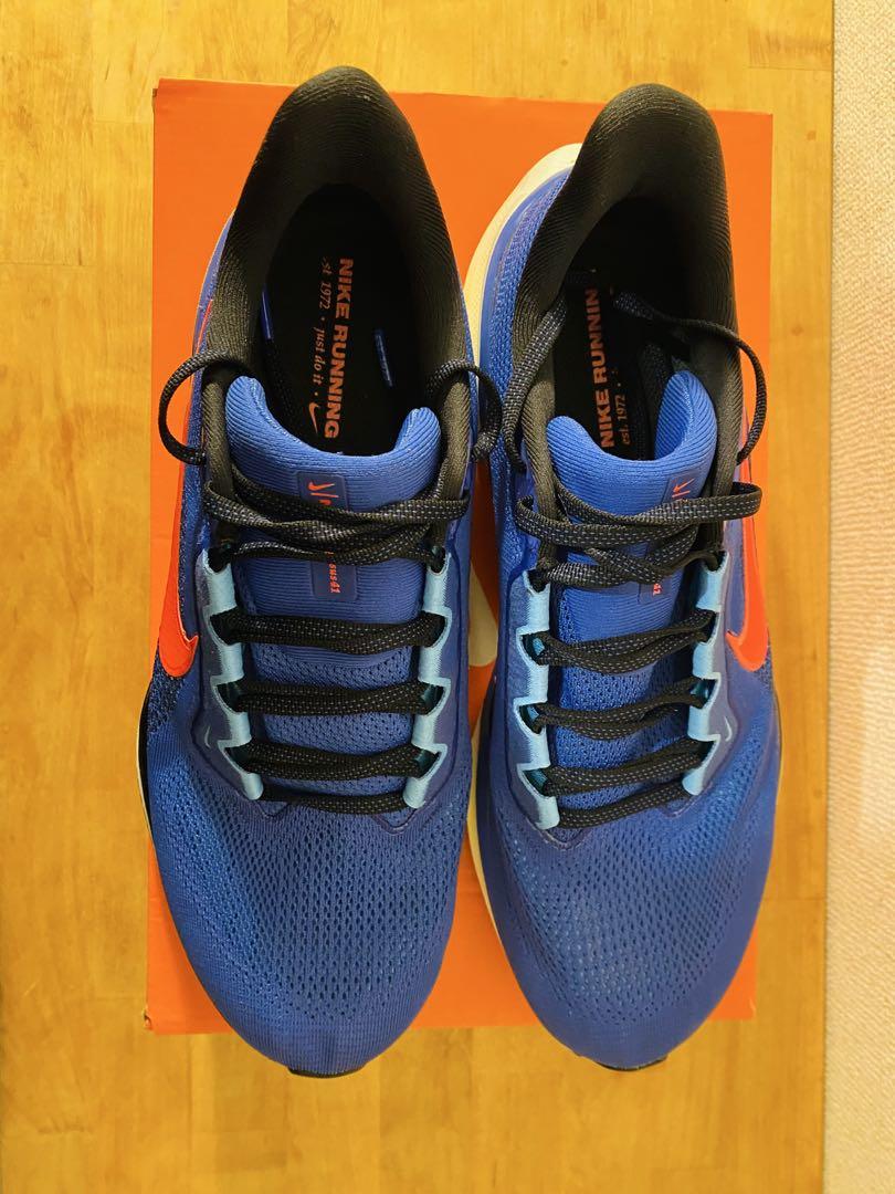 ナイキ ペガサス 41 NIKE Pegasus 41 29cm