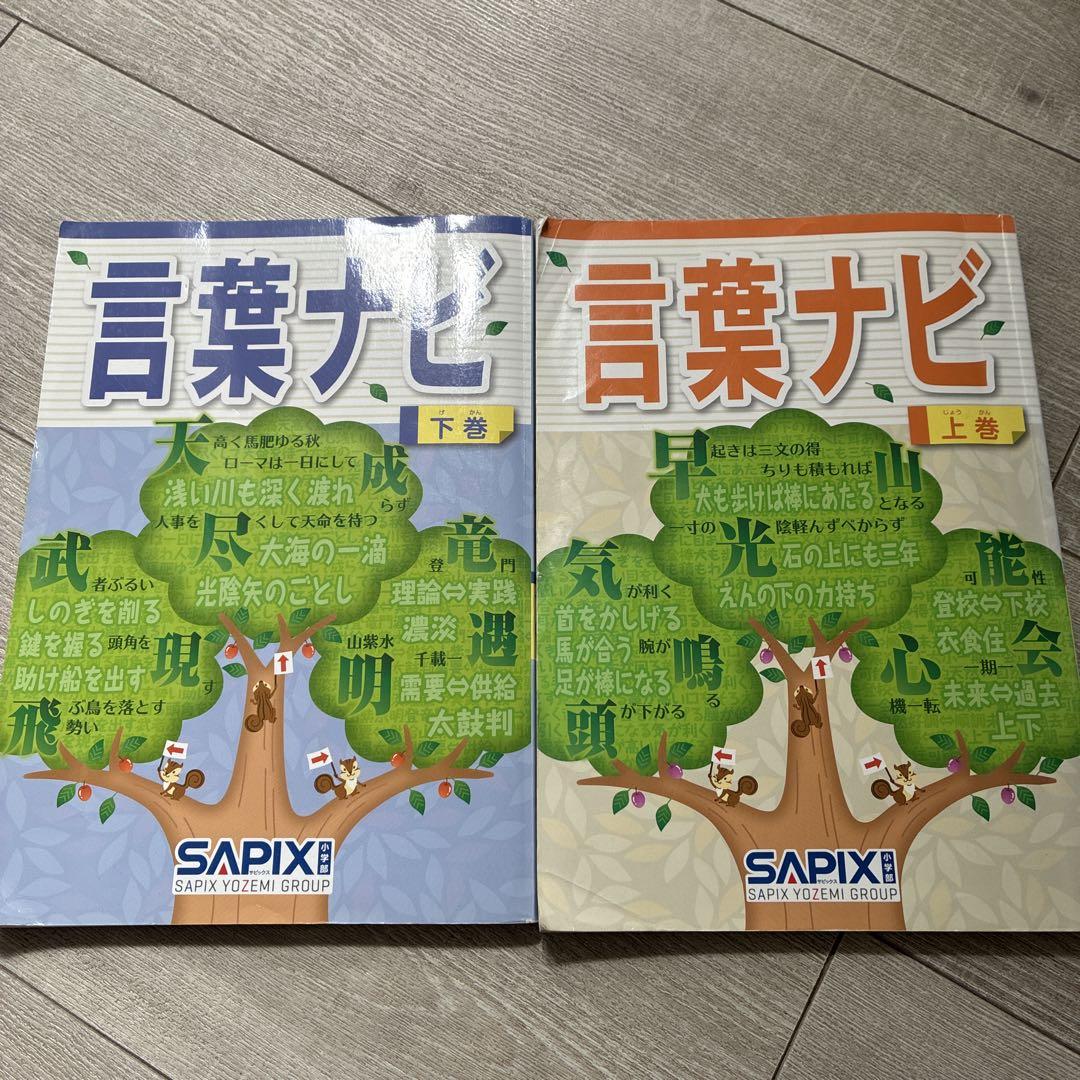 ✳️サピックス 言葉ナビ 上巻・下巻2冊セット SAPIX サピックス 言葉ナビ 上巻/下巻 計2冊 025S2D : ブックス