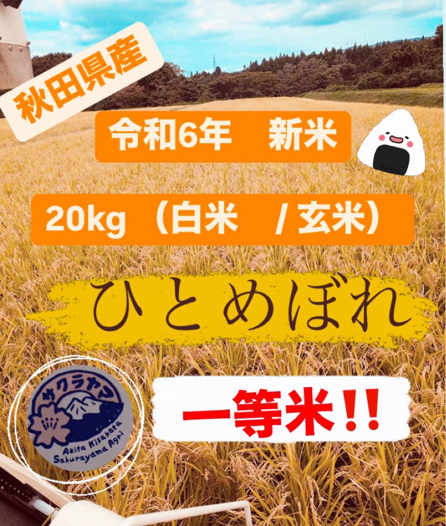 ★令和6年 ‪新米 ひとめぼれ 20kg 秋田県産 産地直送★